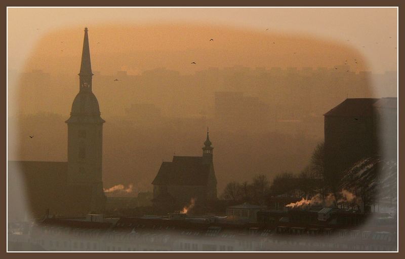 Bratislava: Silhouette mit dem Turm der Konkathedrale und fliegenden Vögeln