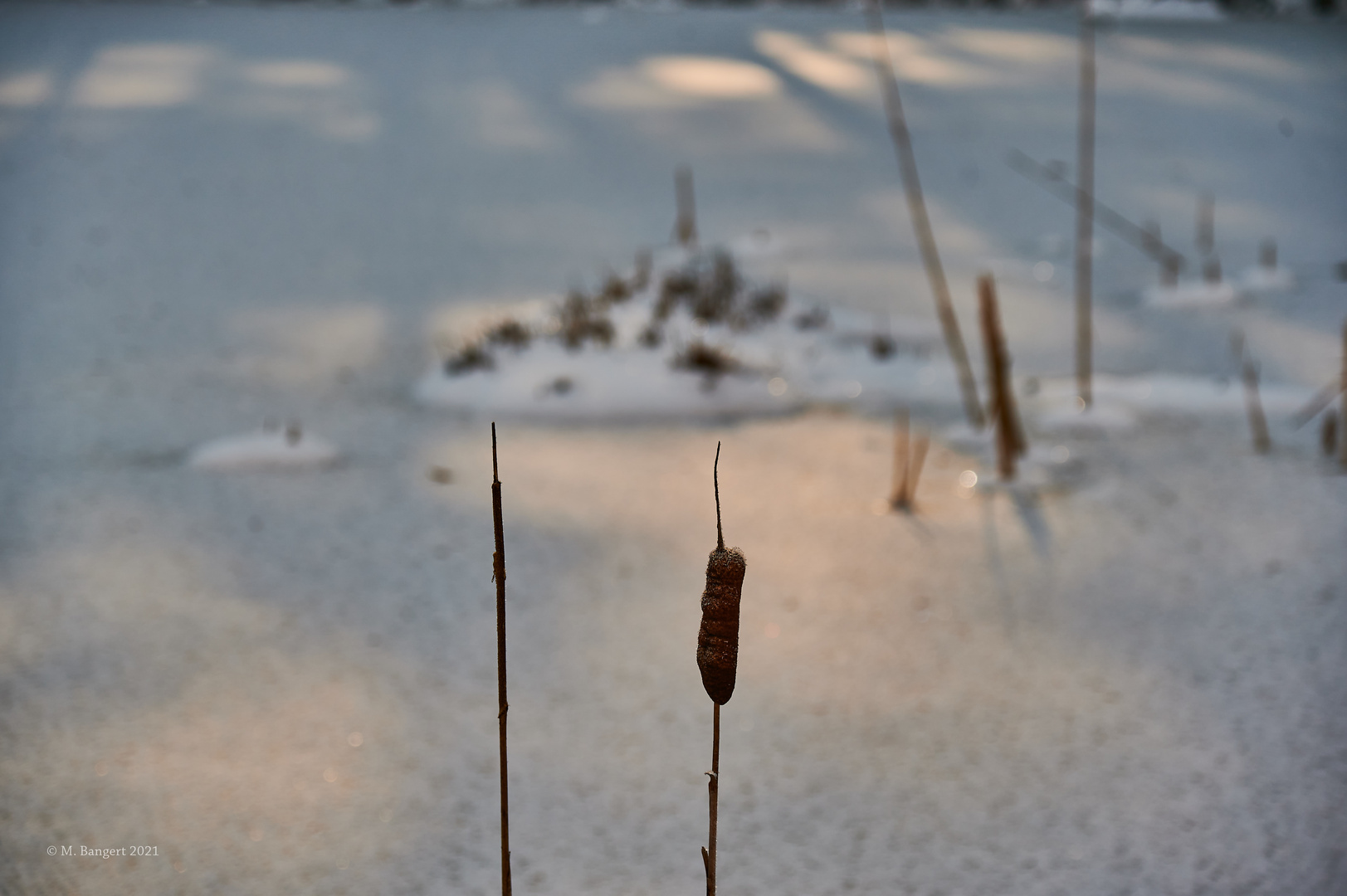 Bratwurst am Spieß vor Winterlandschaft