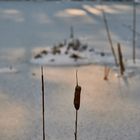 Bratwurst am Spieß vor Winterlandschaft