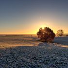 Brauche mal wieder einen richtigen Winter!