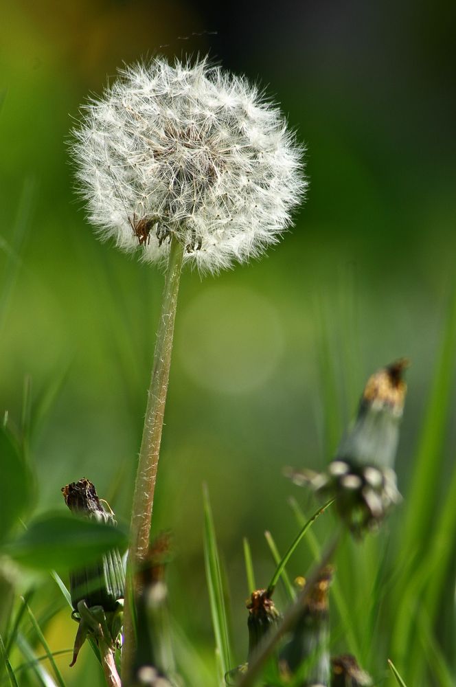 Brauche Wind...