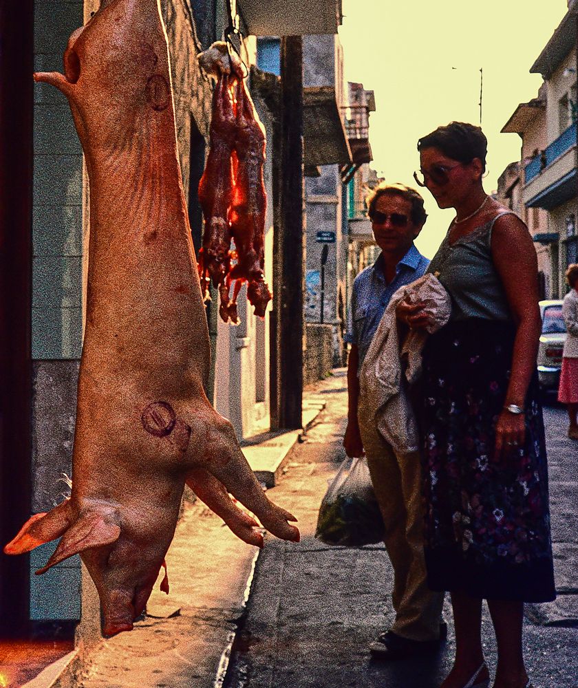 Brauchen wir ein ganzes Schwein ?  .DSC_7073