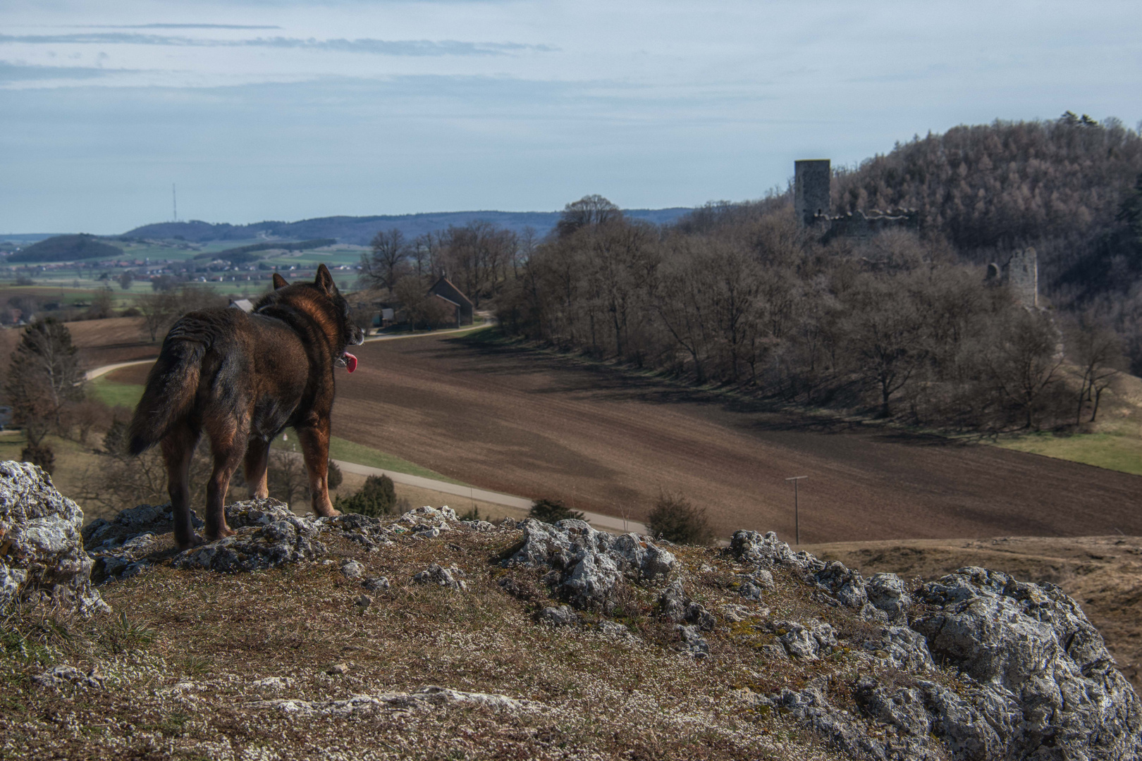 Braucht der Burgherr einen Jagdhund?