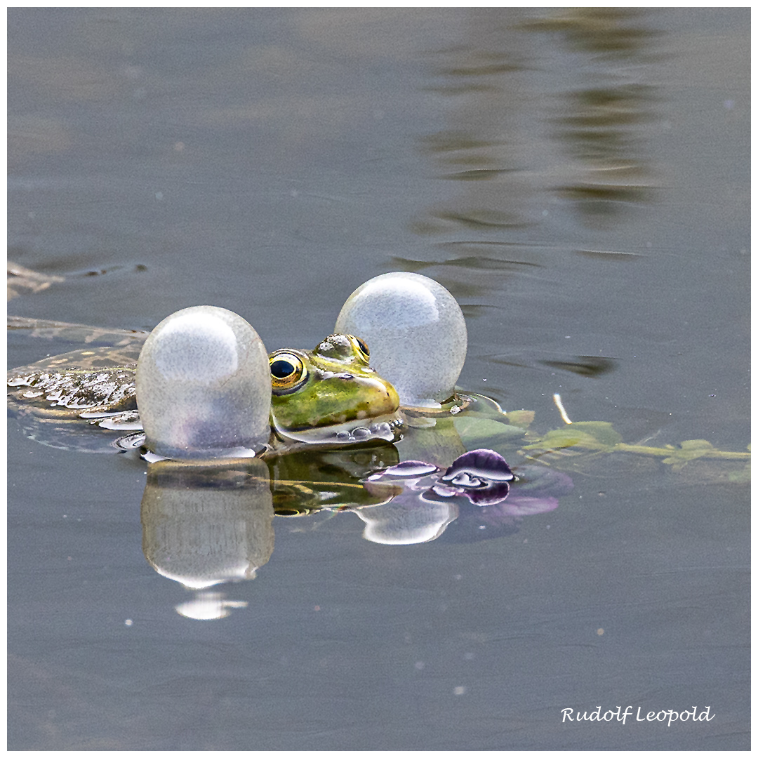 Braucht er eine Schwimmhilfe?