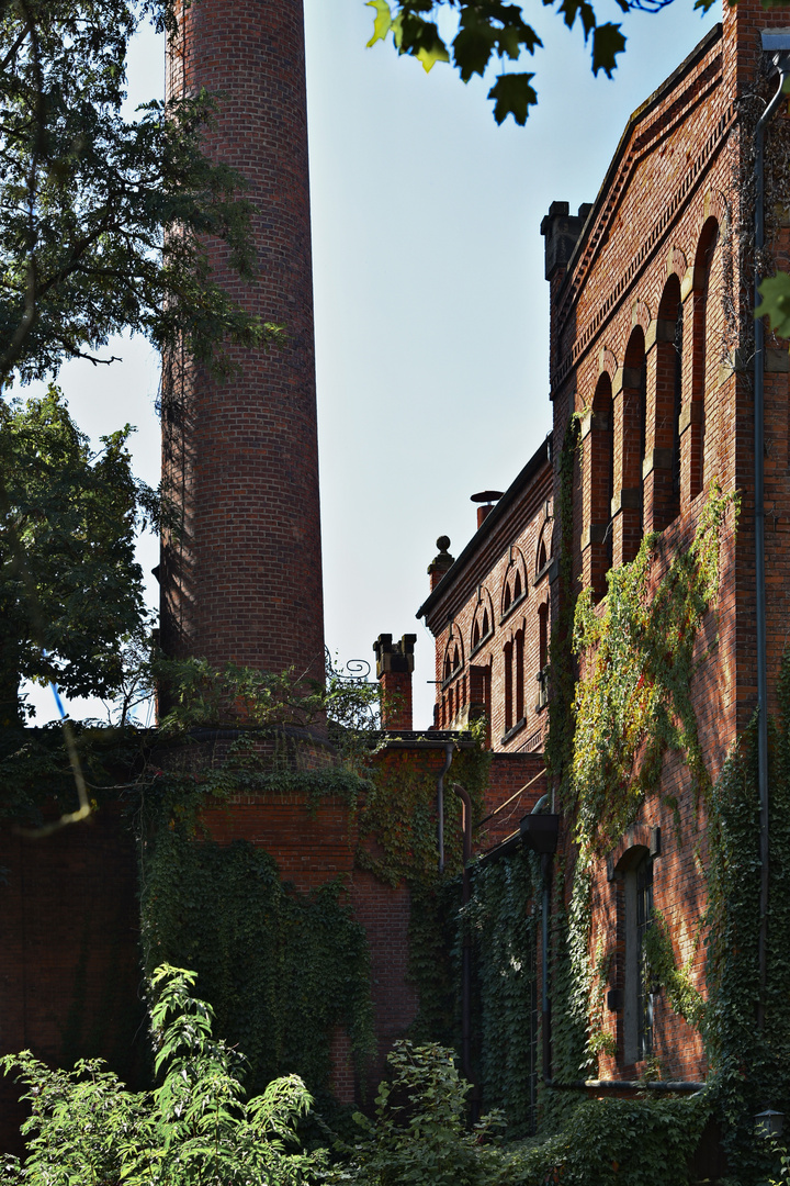 Brauerei Maisel 11