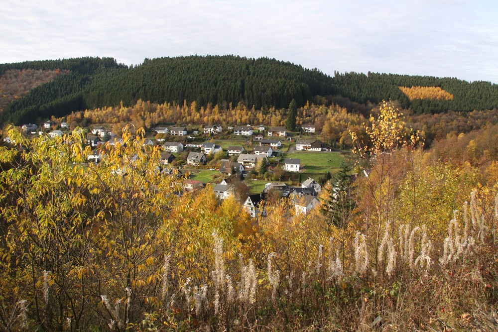 Brauersdorf