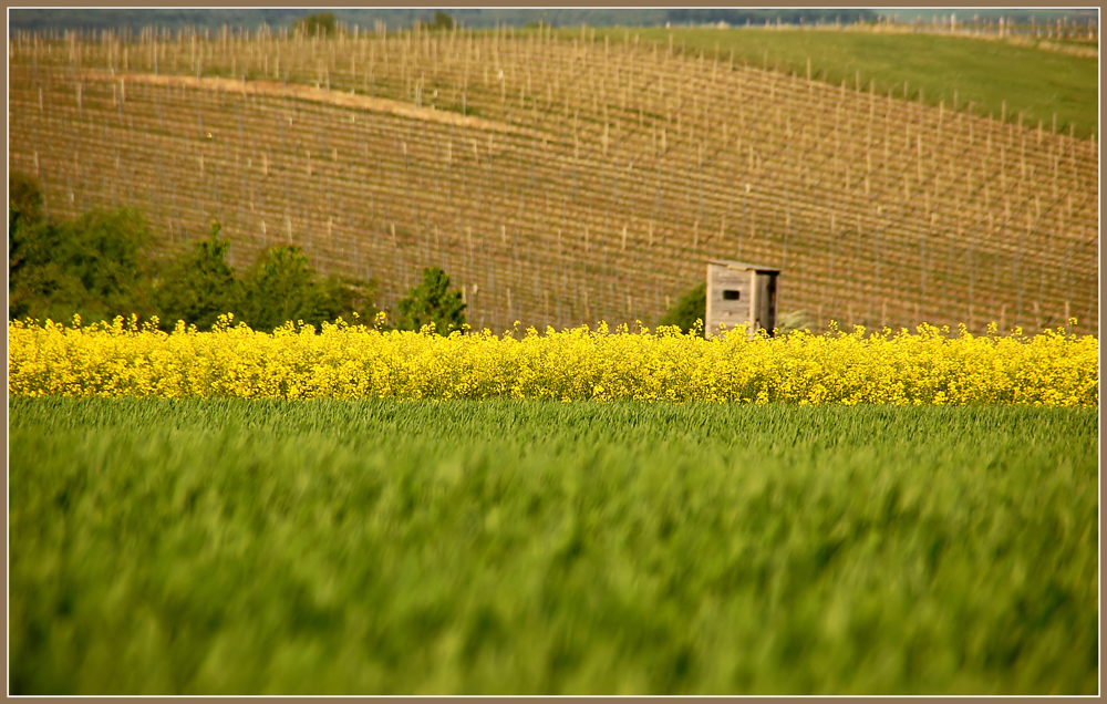 braun - gelb - grün