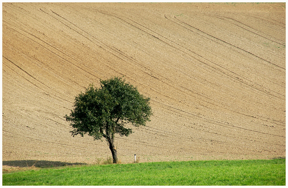 Braun * Grün