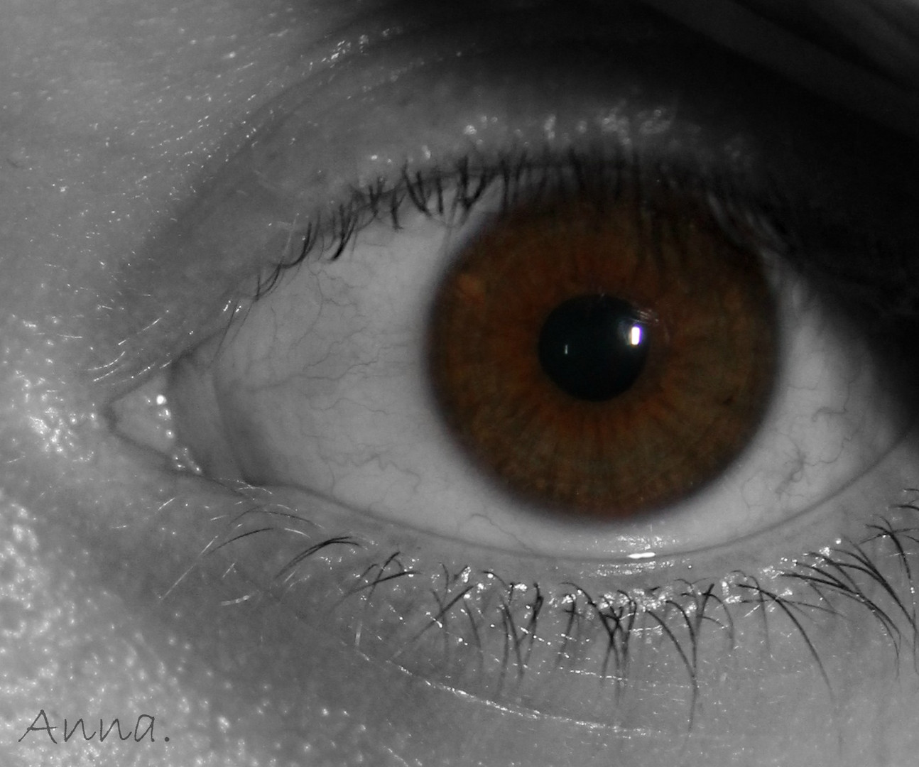 Braune Augen Sind Gefährlich Aber In Der Liebe Ehrlich Braune Augen sind gefährlich, aber in der Liebe ehrlich. Foto & Bild