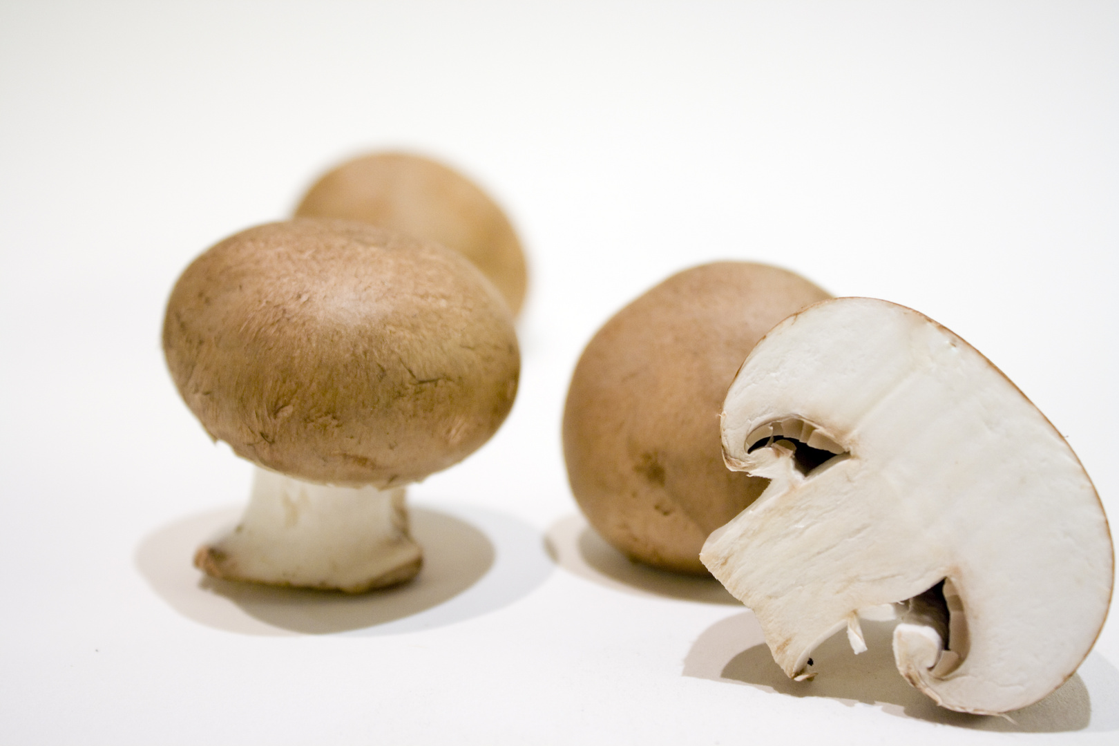 braune Champignons