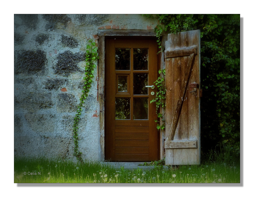 Braune Tür Foto &amp; Bild architektur, fenster &amp; türen