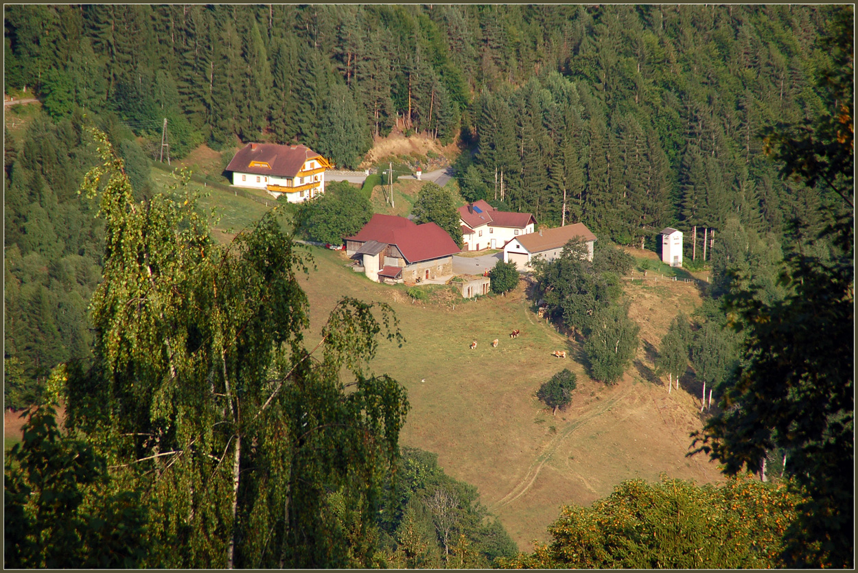 Braune Viehweiden...