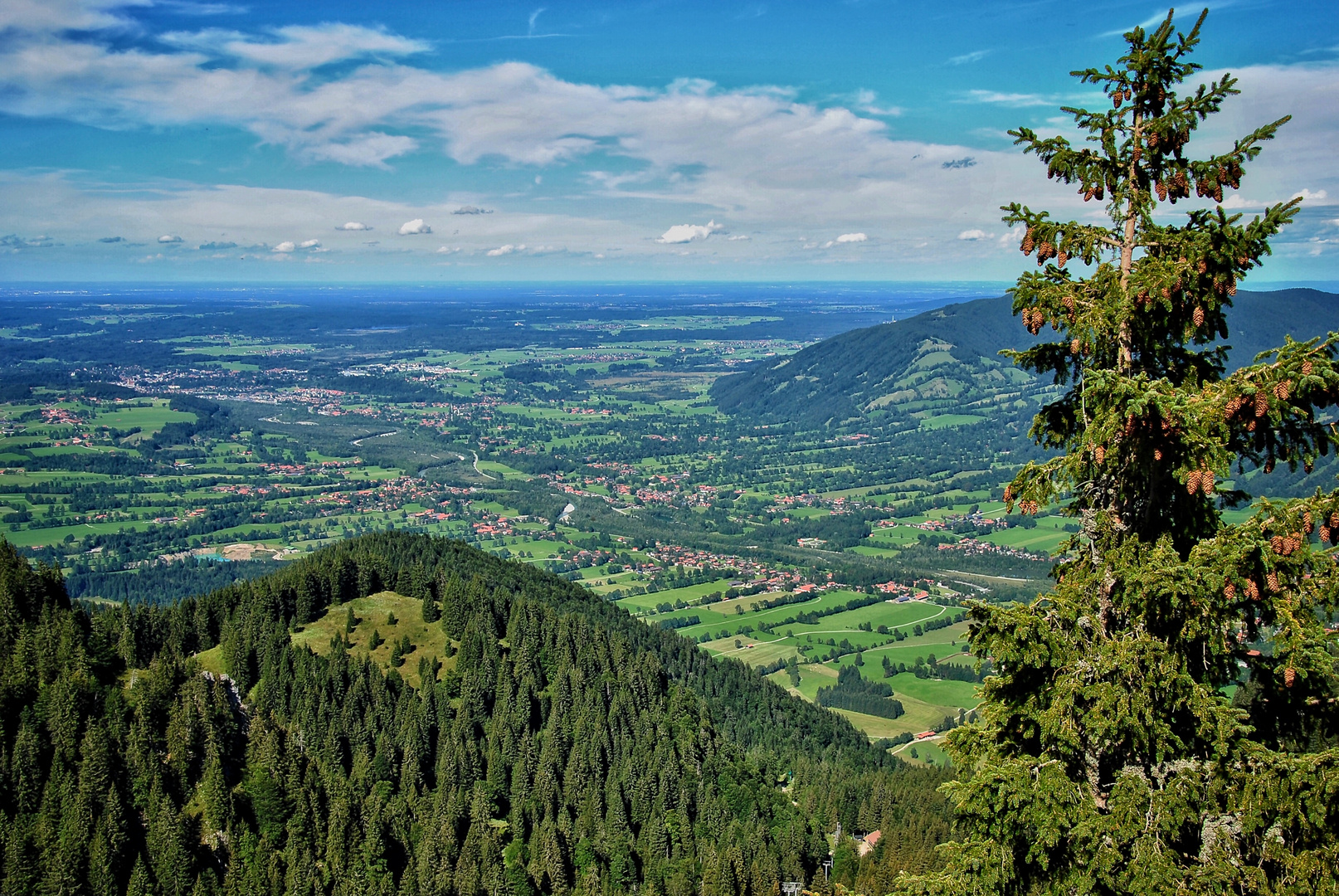                  Brauneck (1555m)