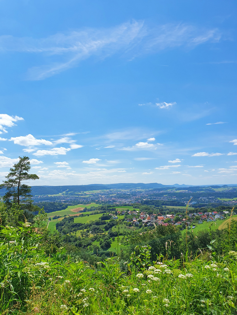 Braunenberger Sommer