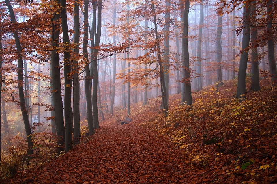 Brauner Oktober