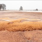 Brauner Schnee im Moor