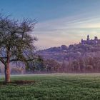 Braunfels im Morgenlicht 