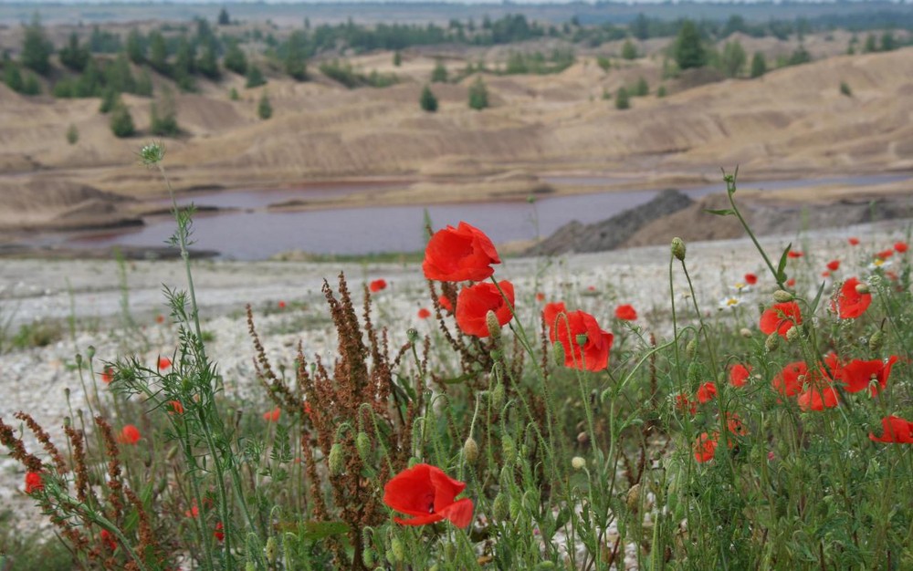 Braunkohlegebiet Zwenkauer See