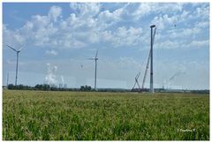 Braunkohlentagebau - rekultiviertes Gebiet - mit Windrädern