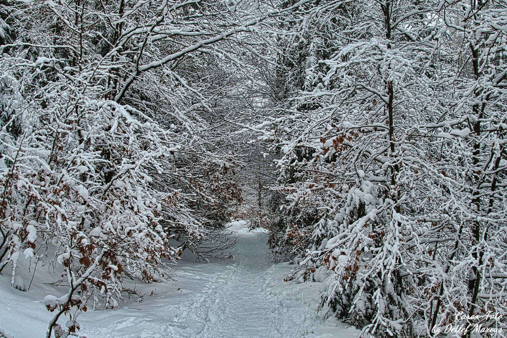 Braunlage an der Warmen Bode