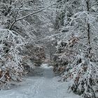 Braunlage an der Warmen Bode