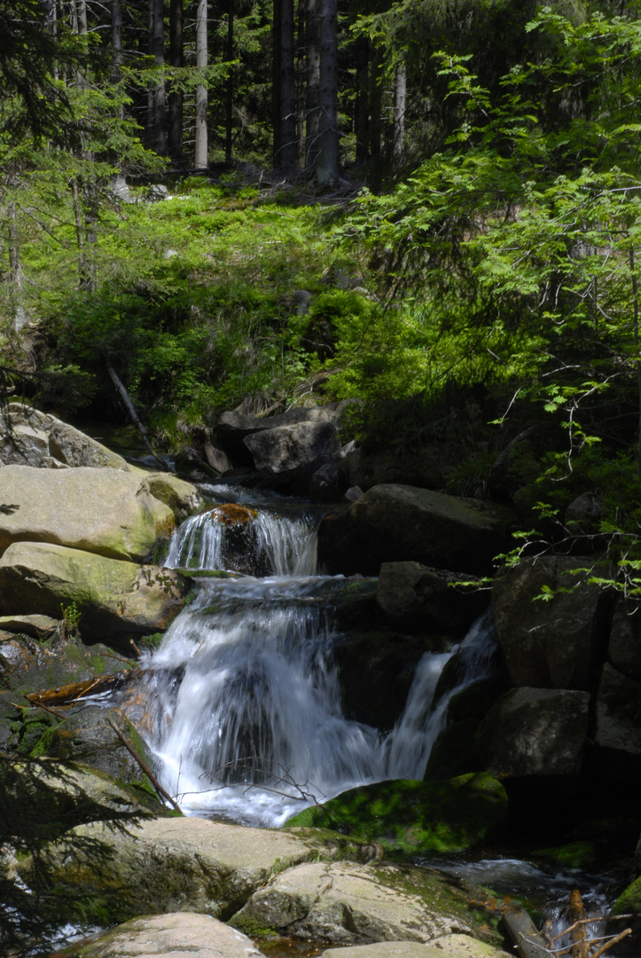 Braunlage Bachlauf