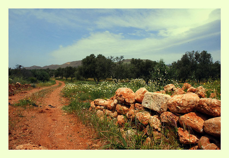 braunrote Landschaft . Mauer Kreta IV