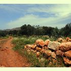 braunrote Landschaft . Mauer Kreta IV