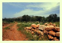 braunrote Landschaft . Mauer Kreta IV