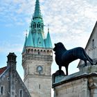 Braunschweig; Burgplatz mit Löwe