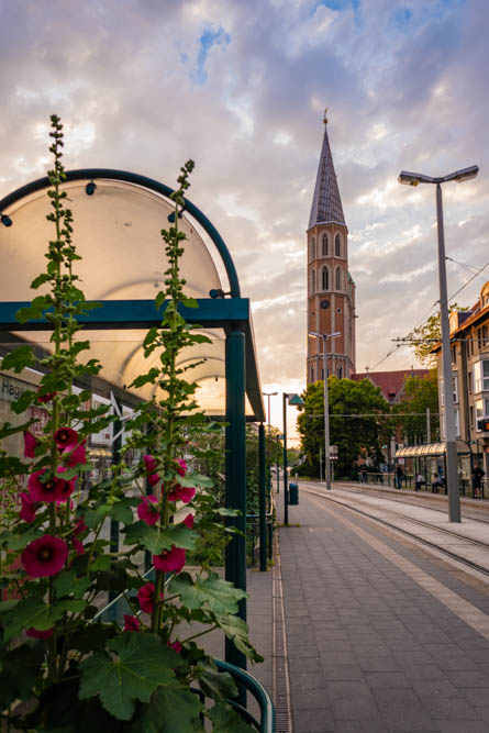 Braunschweig - Katharinenkirche