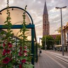 Braunschweig - Katharinenkirche