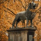 Braunschweiger Löwe im Herbst