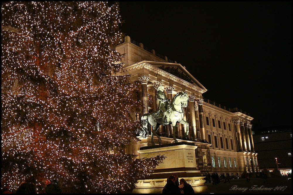 Braunschweiger Schloss hinter Weihnachtsbaum