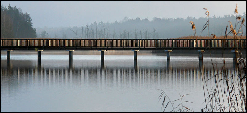 Braunsteichbrücke #1