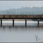 Braunsteichbrücke #1