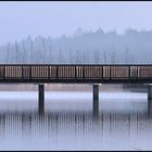 Braunsteichbrücke # 2