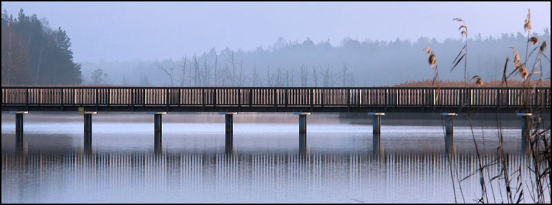 Braunsteichbrücke # 2