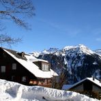 Braunwald