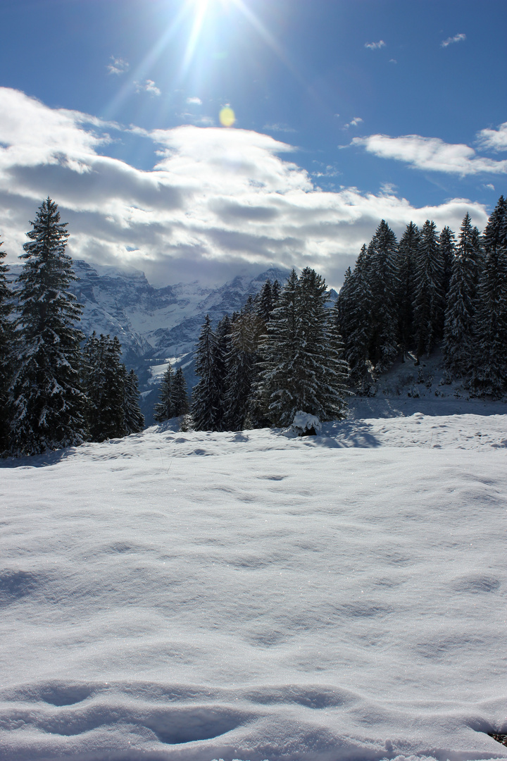 Braunwald CH