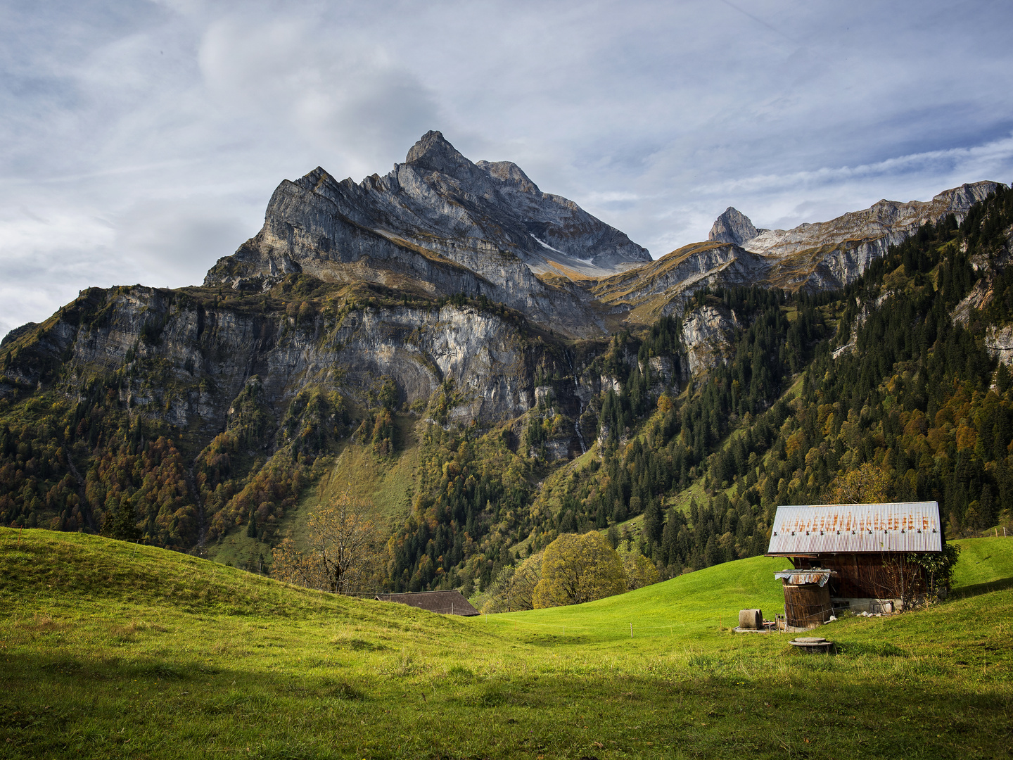 Braunwald