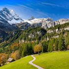 Braunwald