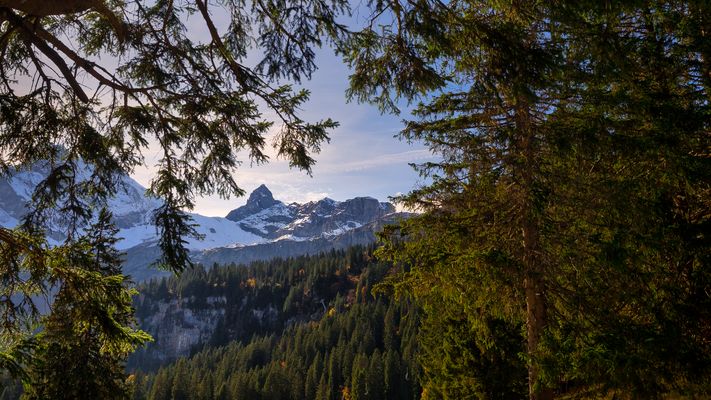 Braunwald-Grotzenbüel