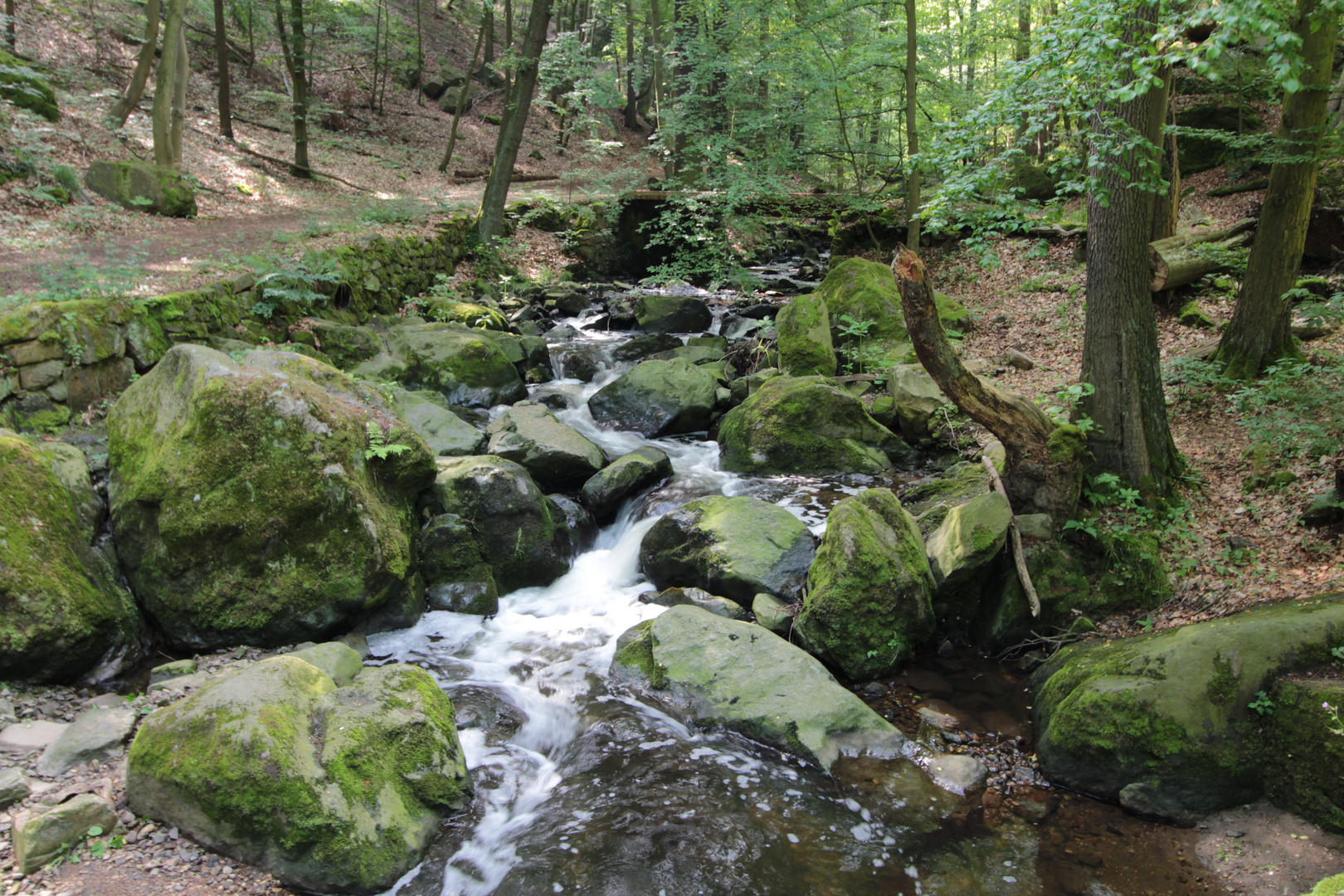 Brauselochbach bei Rochsburg