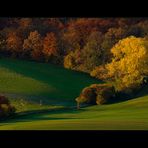 Brausender Orgelklang des Herbstes...- oder: Herbst-Schwung...