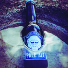 Brausyndikat Bier "PALE ALE"