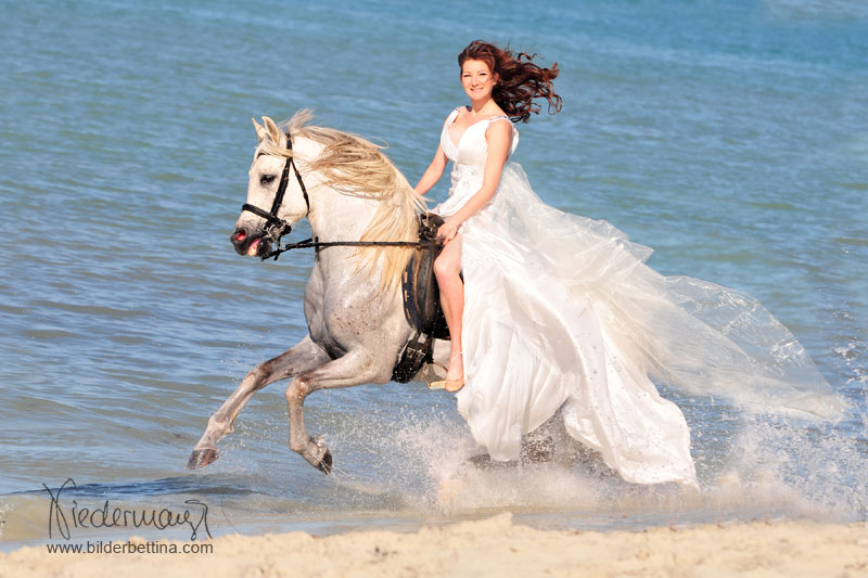 Braut auf einem weißen Araber am Strand im Galopp