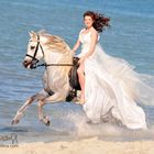Braut auf einem weißen Araber am Strand im Galopp