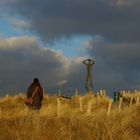 braut sich da etwa ein Unwetter zusammen