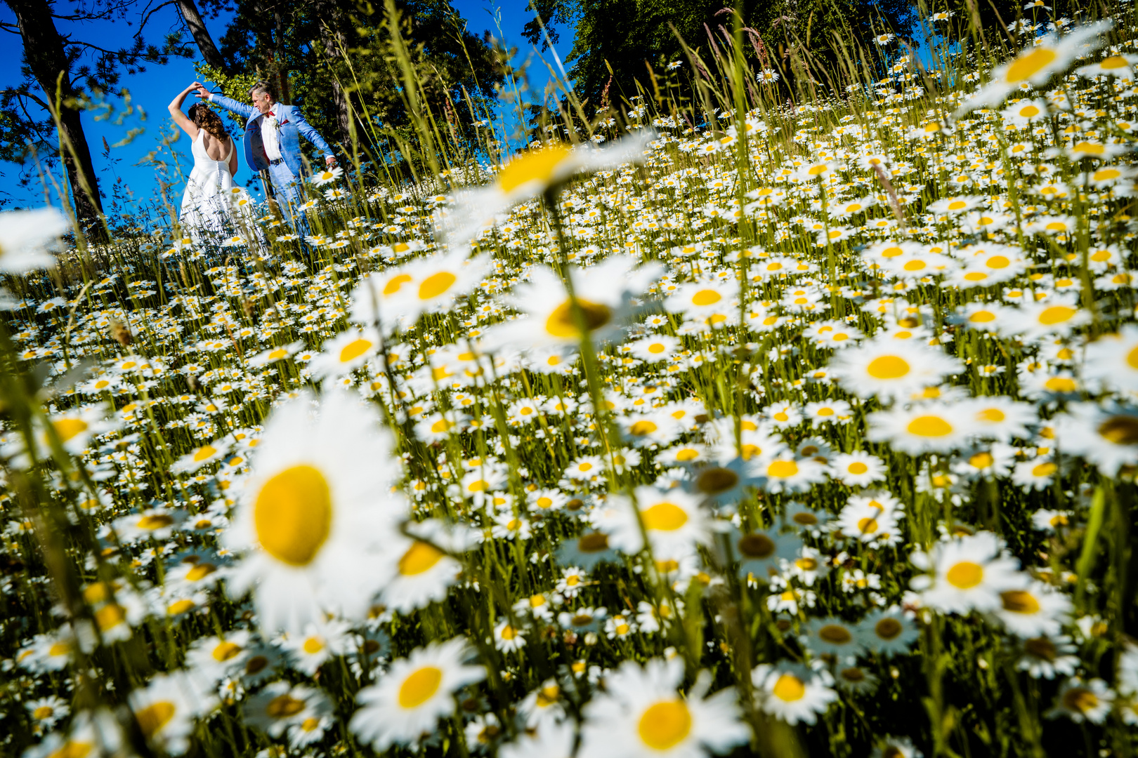 Brautpaar im Blumenmeer bei einer Hochzeit auf Burg Stargard